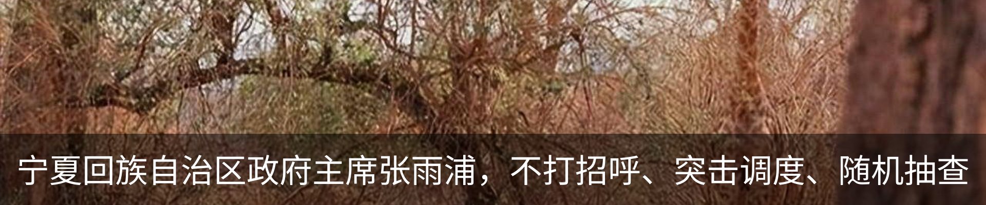 行业资讯